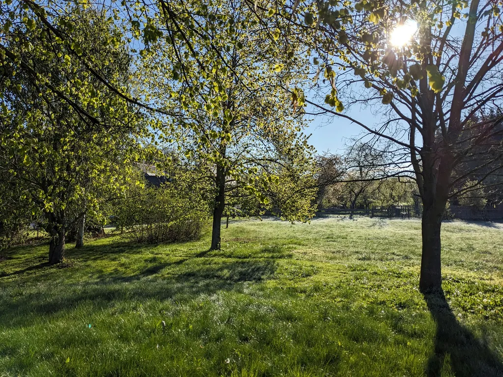 Ruhiger Naturgarten am Feldrand