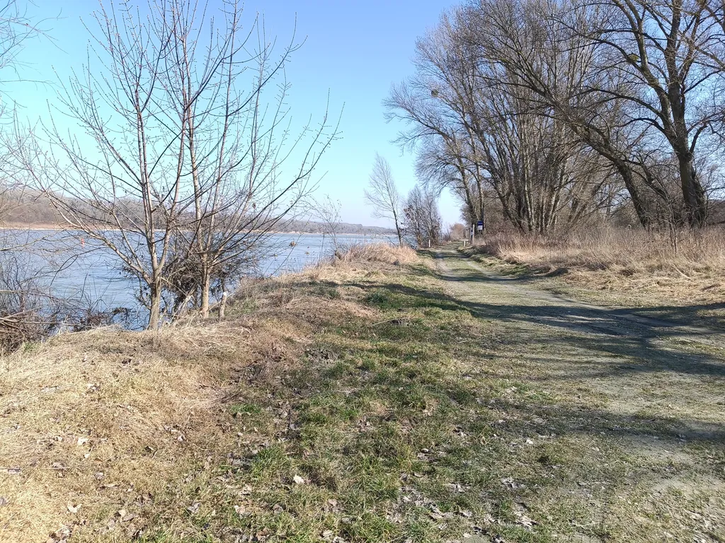 Donaublick
