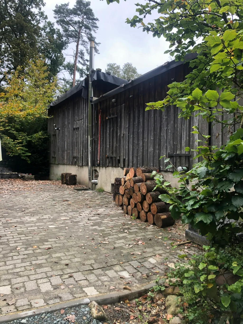 Haus Quelle Hinterhof im Taunuswald