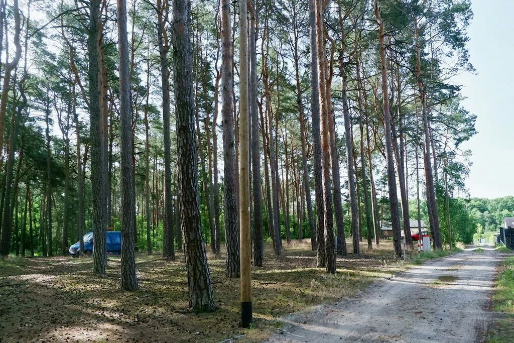 Schattiger Stellp. Wald, Groß Köris