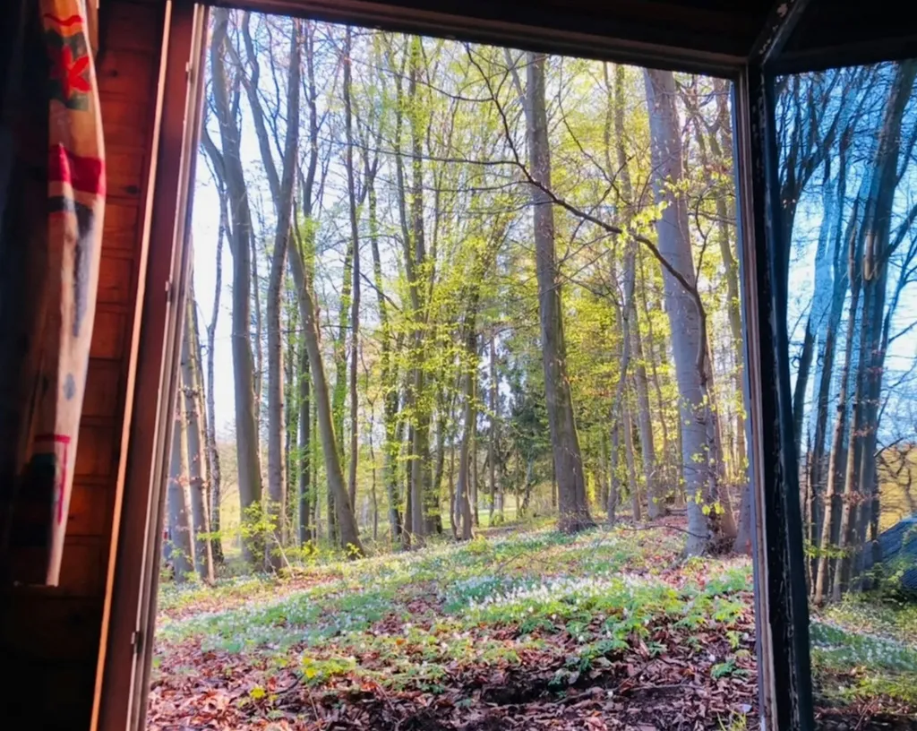 Holzhaus unter Buchen für mehr als 2