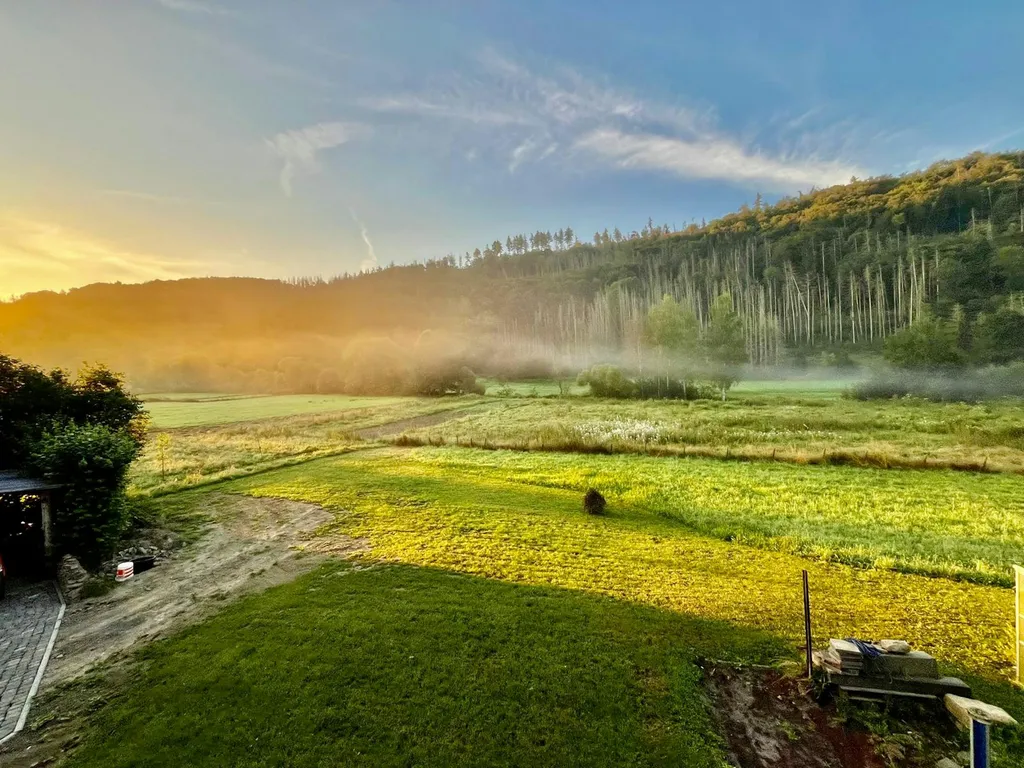 Basecamp am Weiher