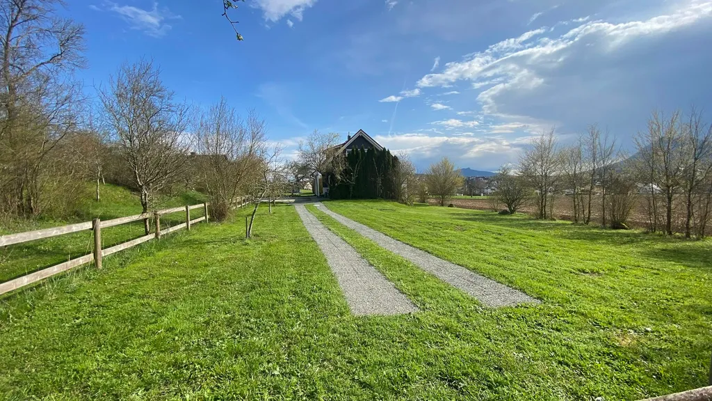 Sonnenwiese Region Bodensee/Hegau