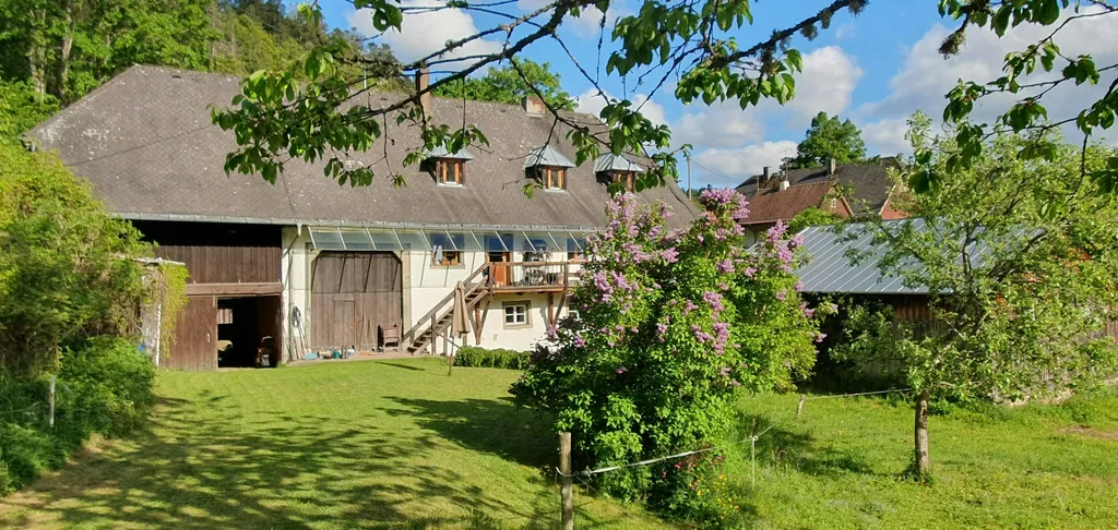 Wiesen zwischen Waldrand und Bach