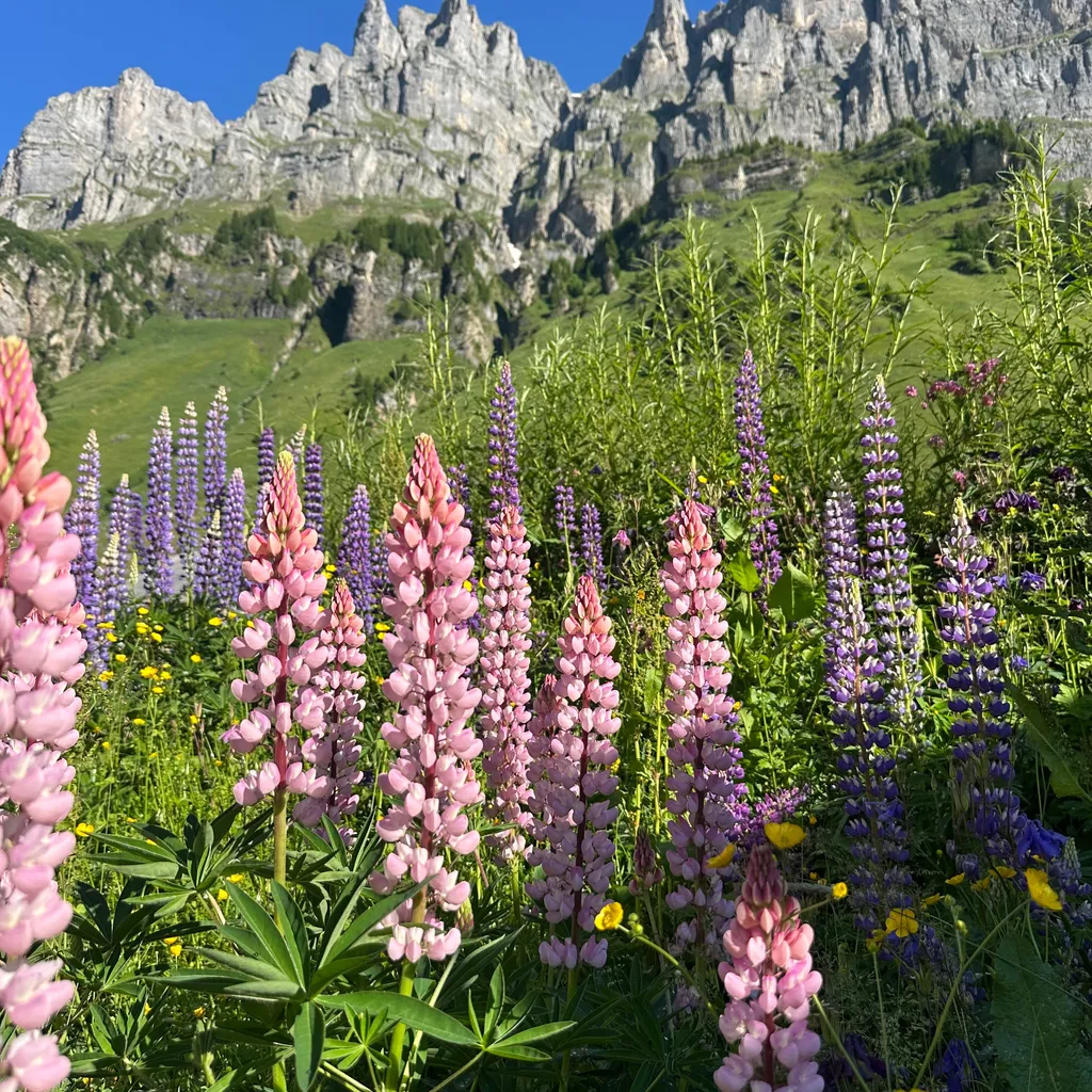 Profilbild von Robert