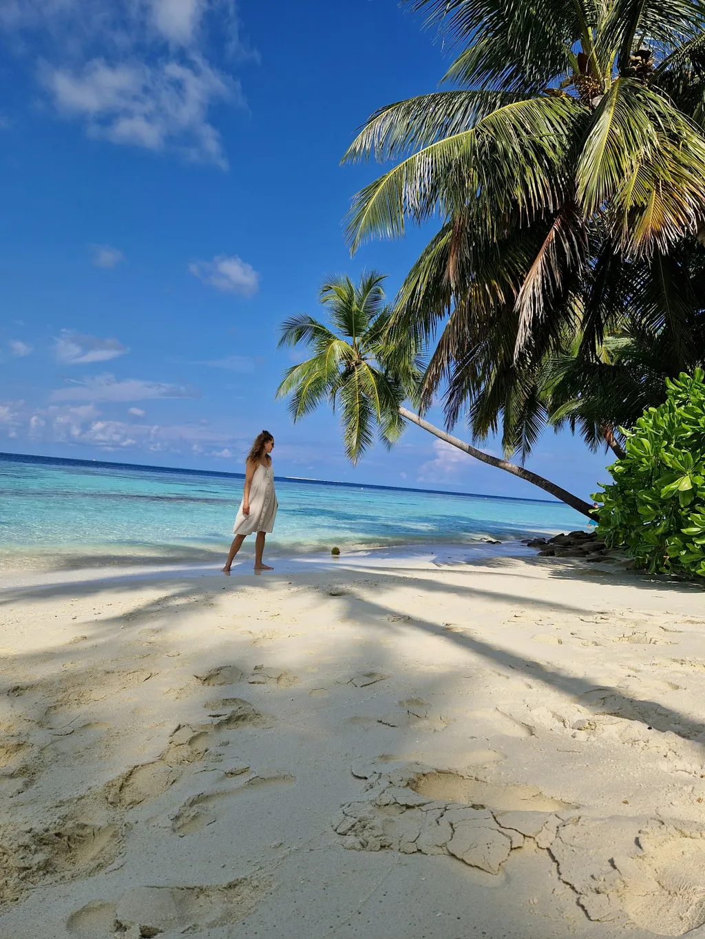 Profilbild von Desiree