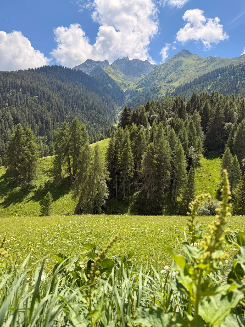 Bild von Urs für den Spot 5332