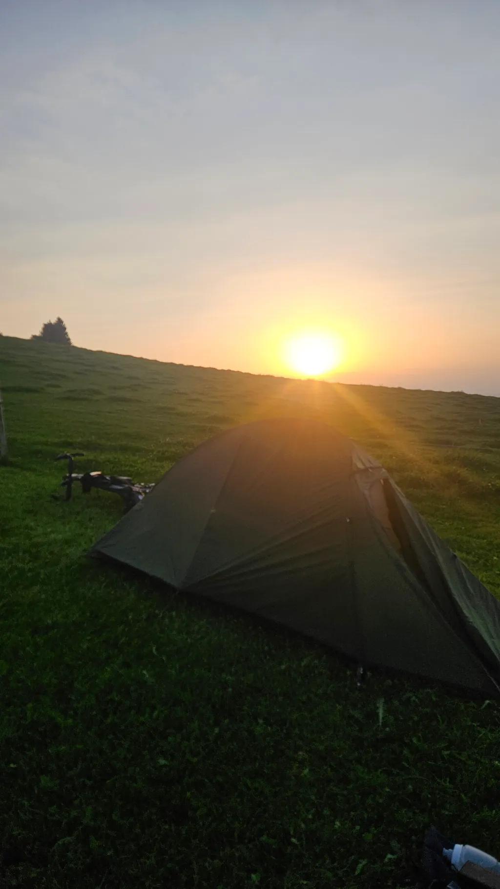 Bild von Carolin für den Spot 1352