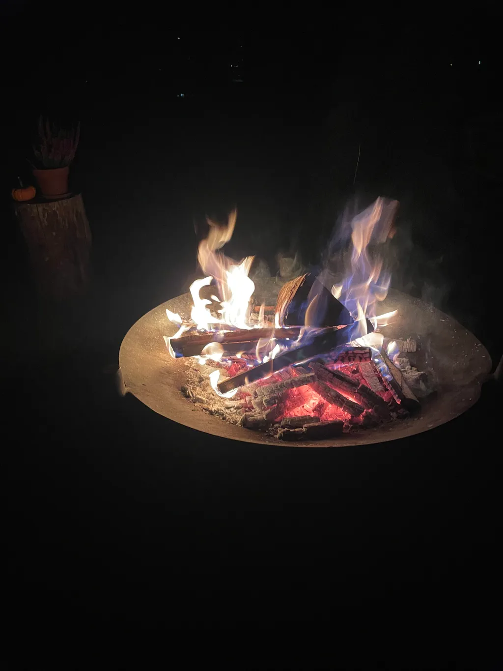 Bild von Simone für den Spot 245