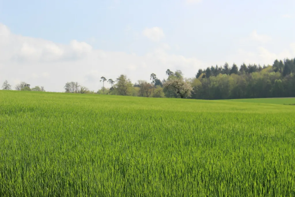 Hochrhein Camping