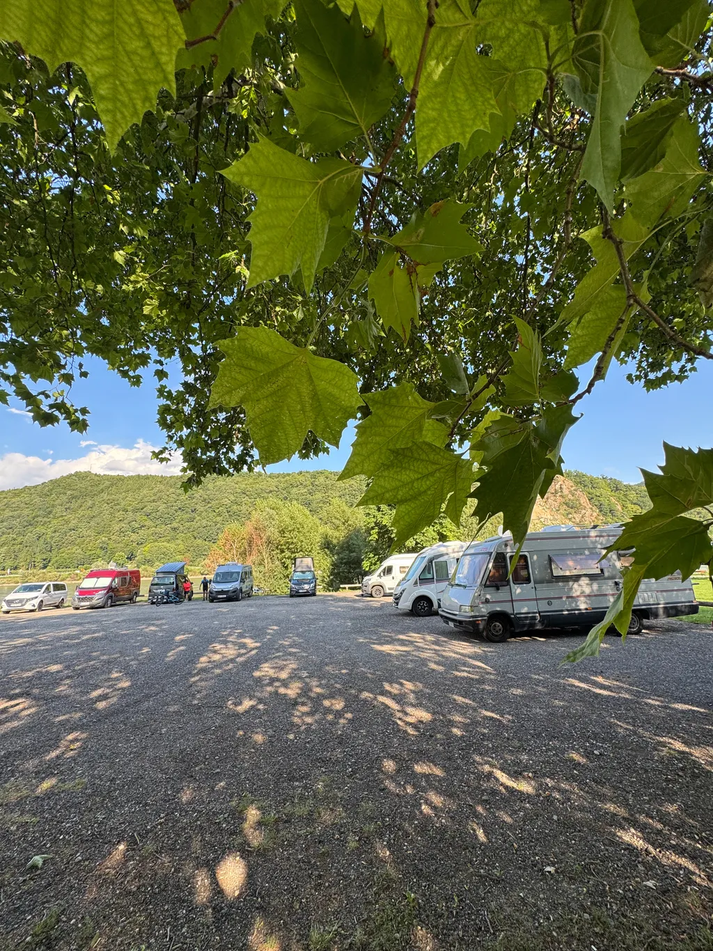 Wachau - Stellplatz Donaustrand in Aggsbach Markt