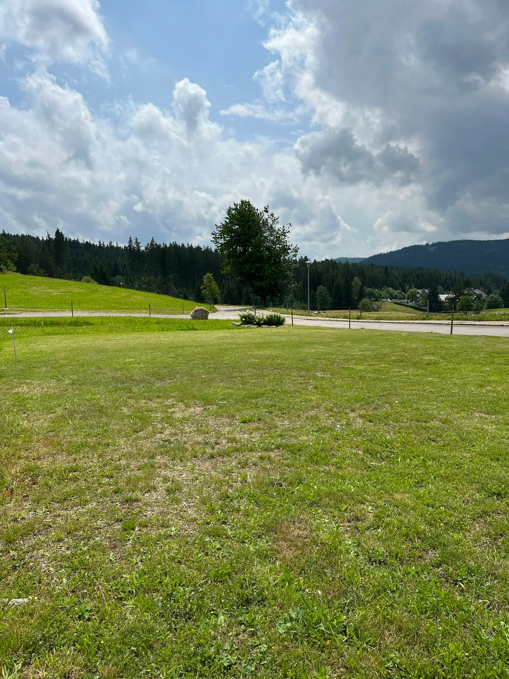 Wiese beim Schluchsee