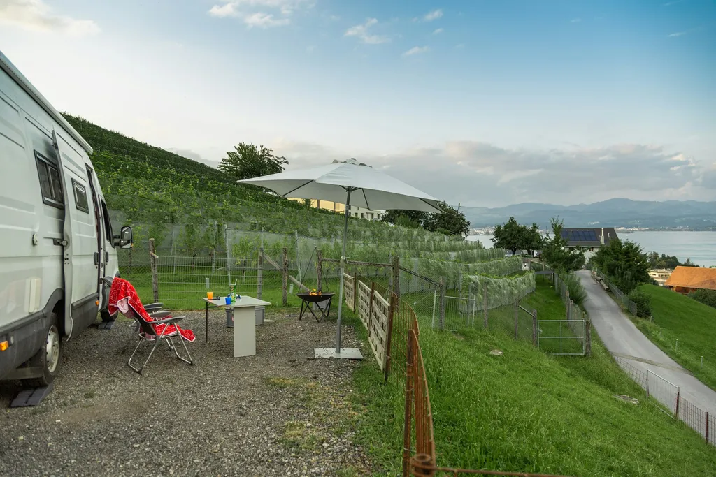 Beim Weingut Altendorf - am Rebberg