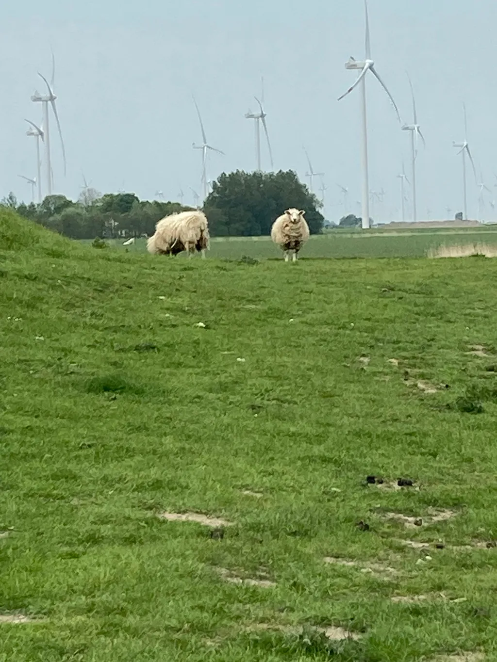 Lütte Pause - Nordseenah bei Husum