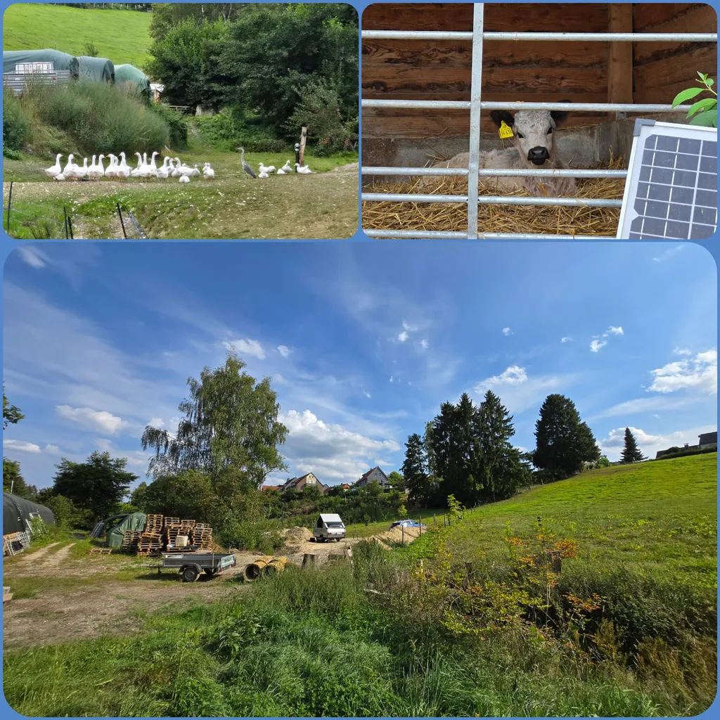 Bild von Carola für den Spot 1923