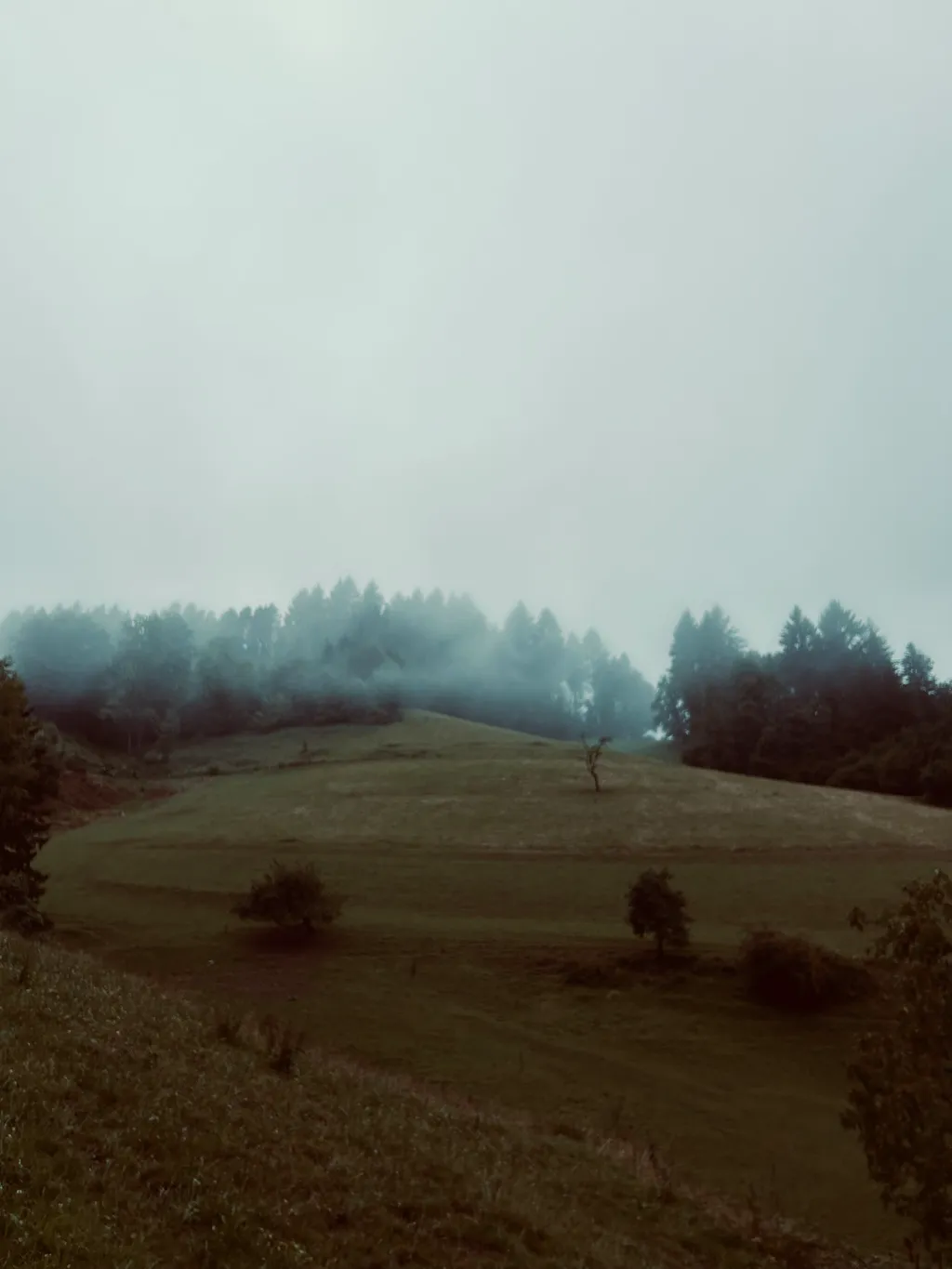 Bild von Kevin für den Spot 1620