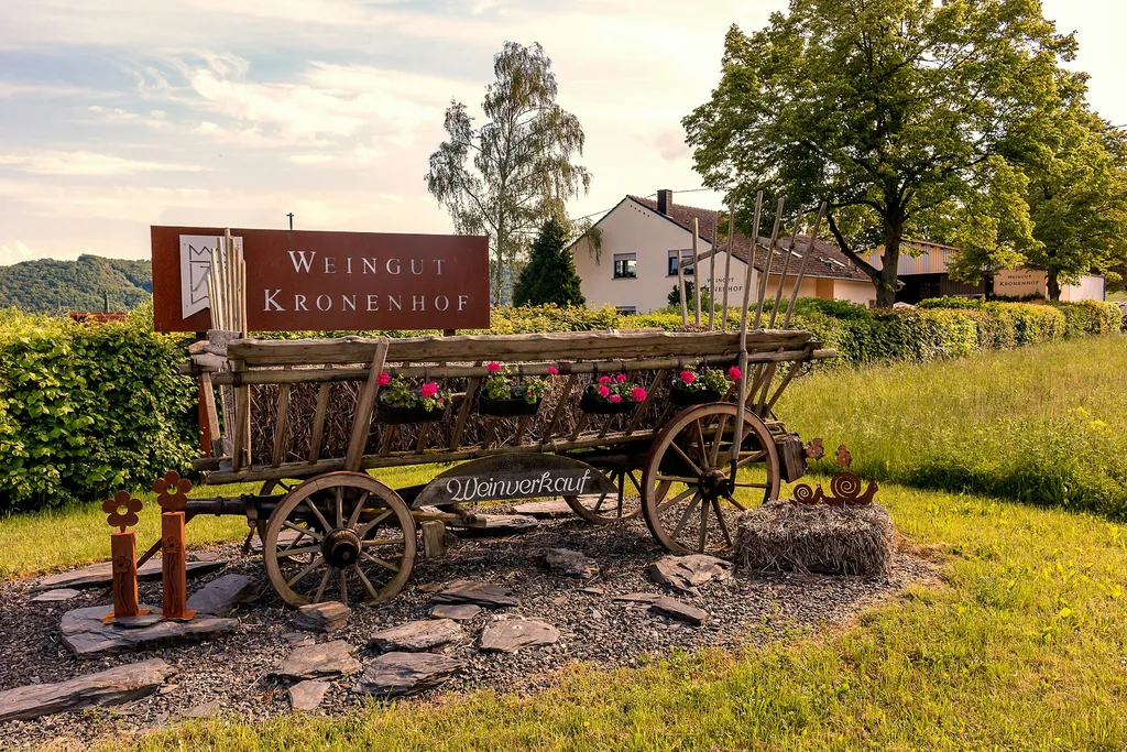 Wiese Weingut Traumblick Weinberge