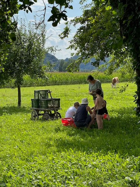 Bild von Stefan für den Spot 234