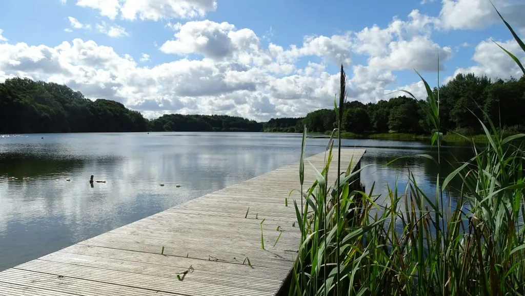 Idyllischer Weidewagen im Norden
