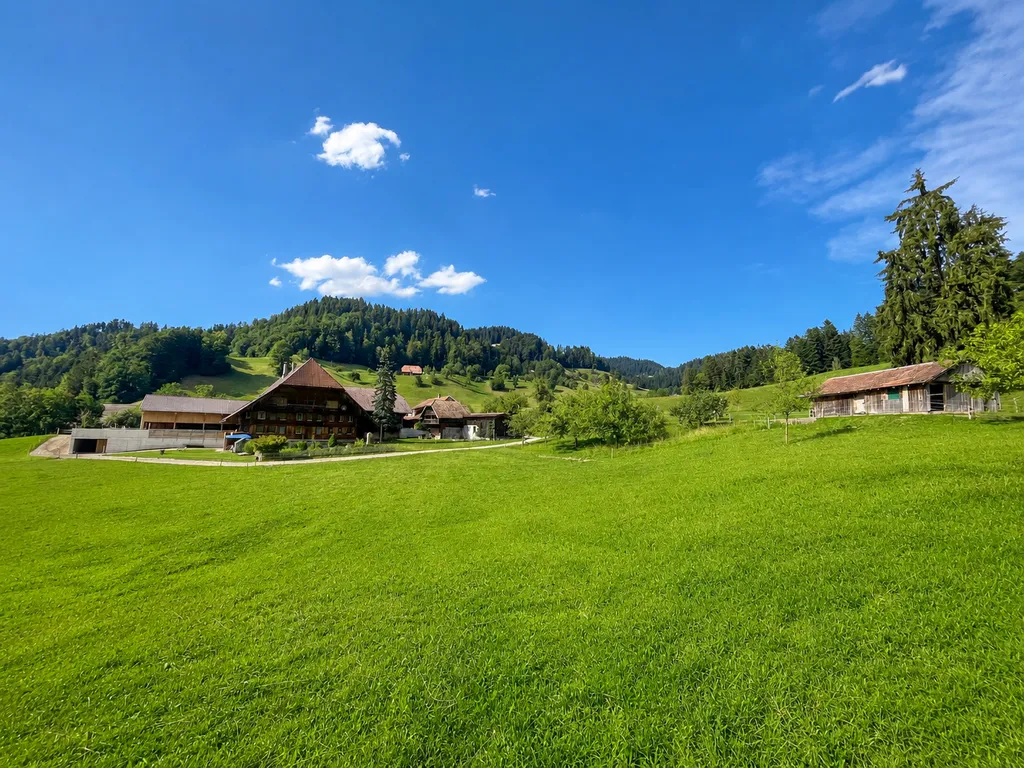 Hofparadiesli 🏰