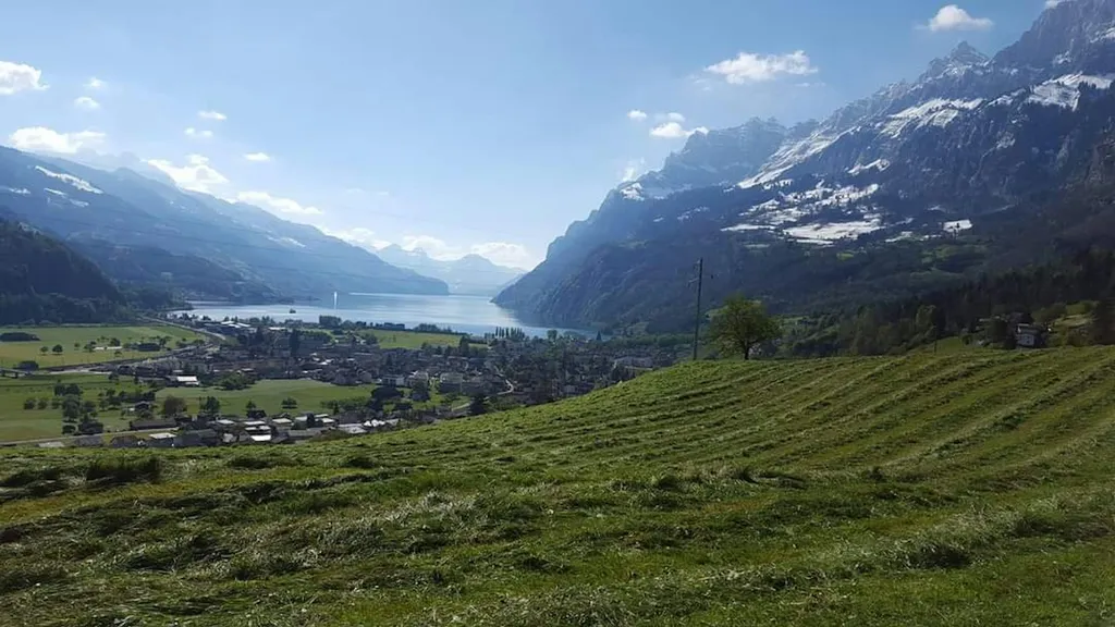 Loops Stalloase Camp Gnols