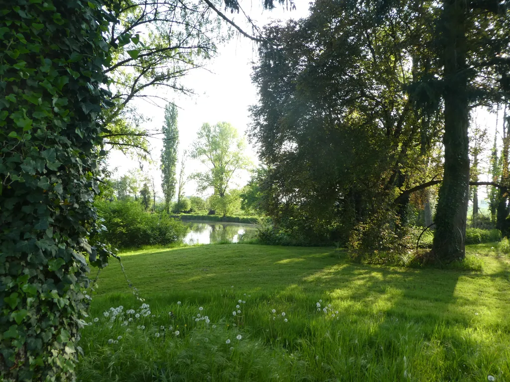 Camping am Teich
