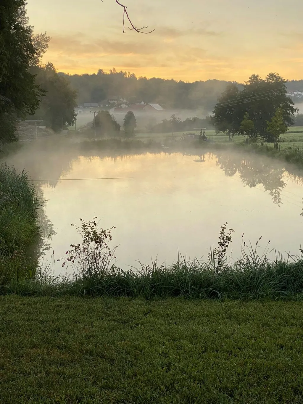 Wilde Heimat 1, Natur pur am Teich