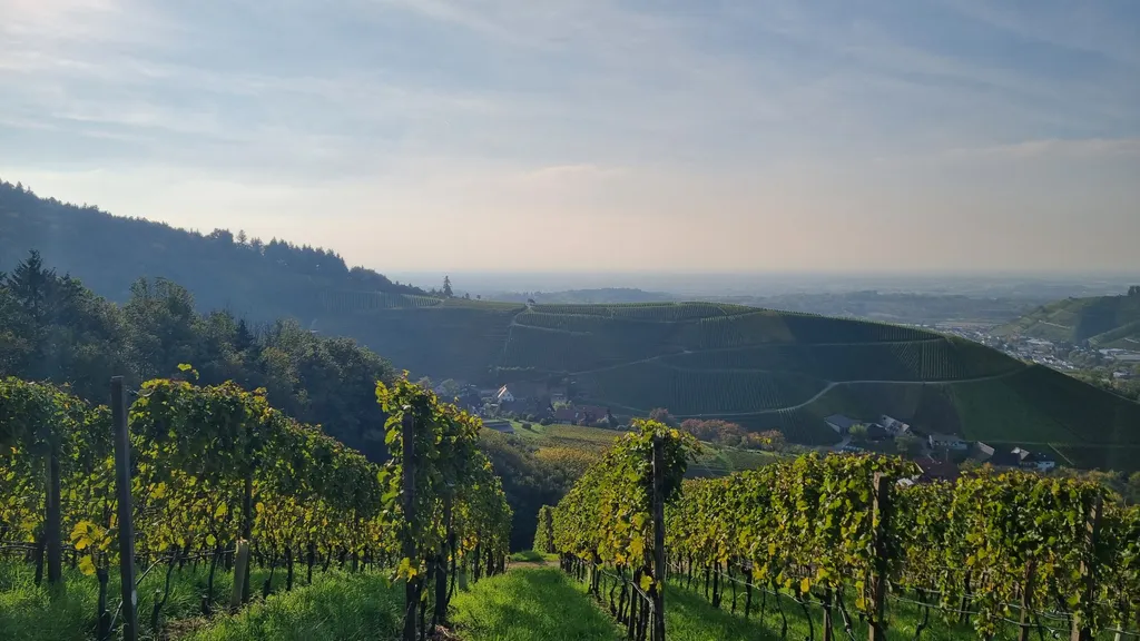 Bild von Ursula für den Spot 1586