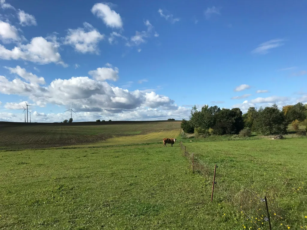Einsamkeit & Blick bis zum Horizont