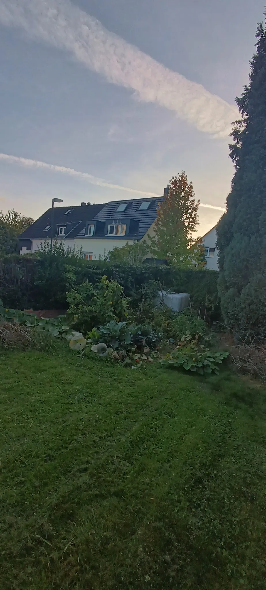 Grüne Gartenwiese nähe Ostparksiedlung