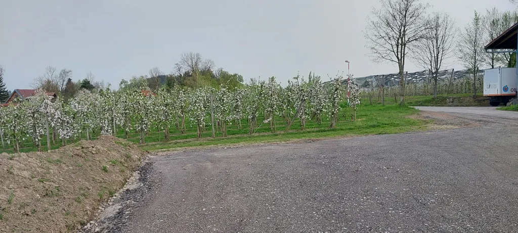 Camping Obstgarten Bodensee