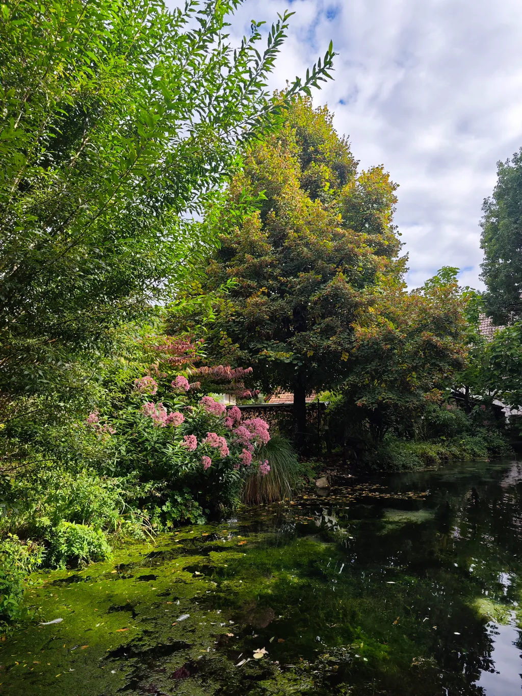 Bild von Karolin für den Spot 3436