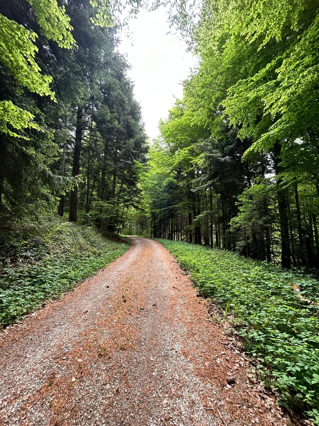 Bild von Emanuele für den Spot 351