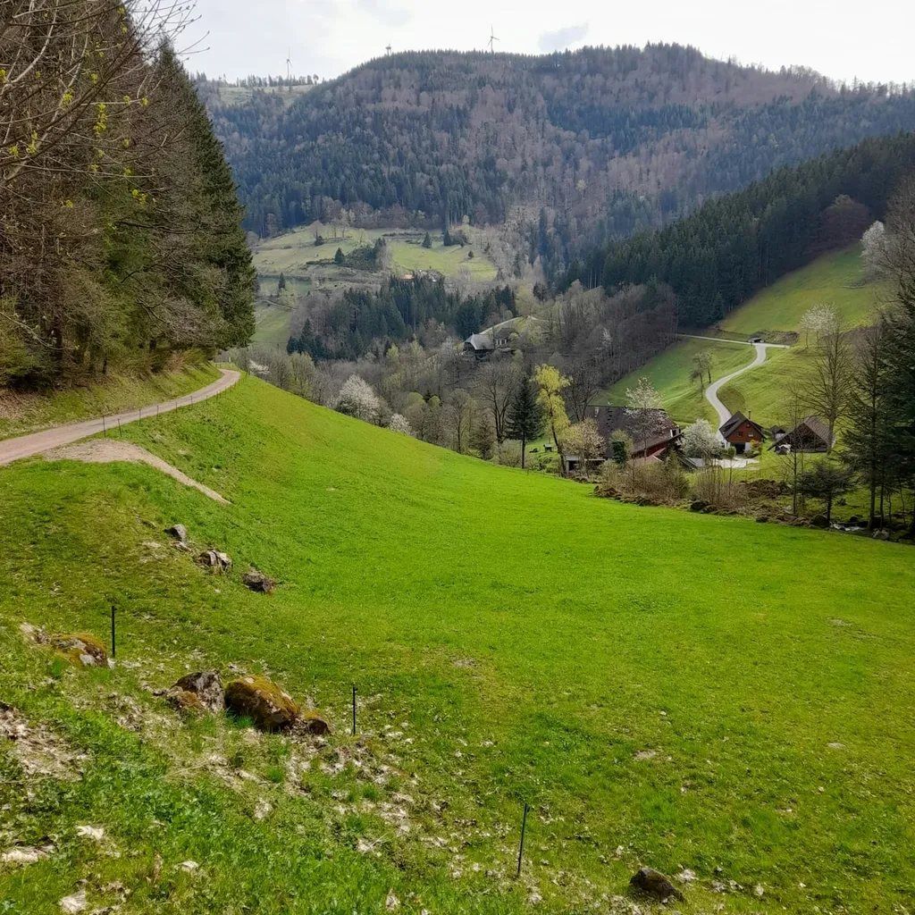 Natur pur am Zweribachwasserfall