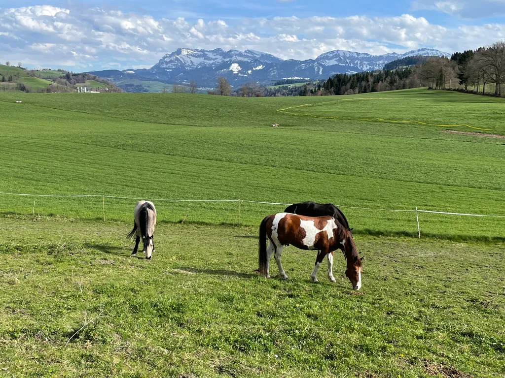 Immagine di Barbara per lo spot 4800