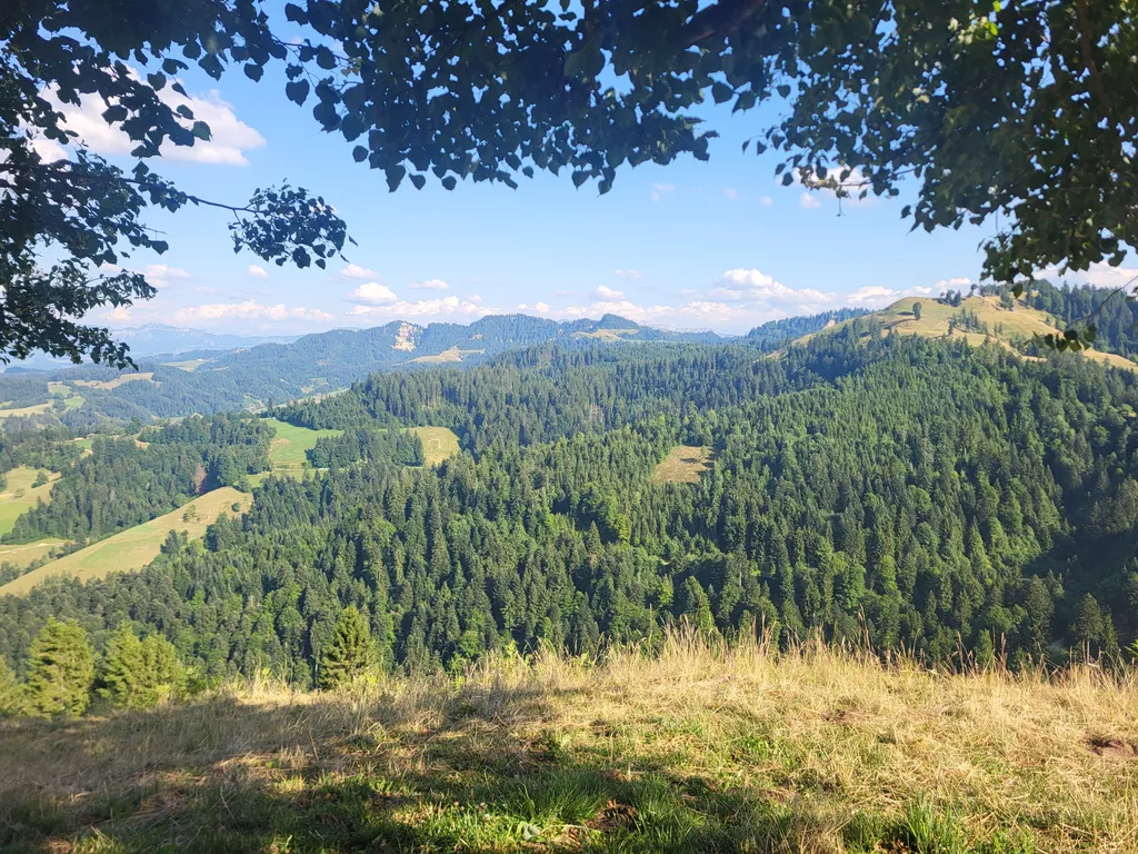 Bild von Bruno für den Spot 364