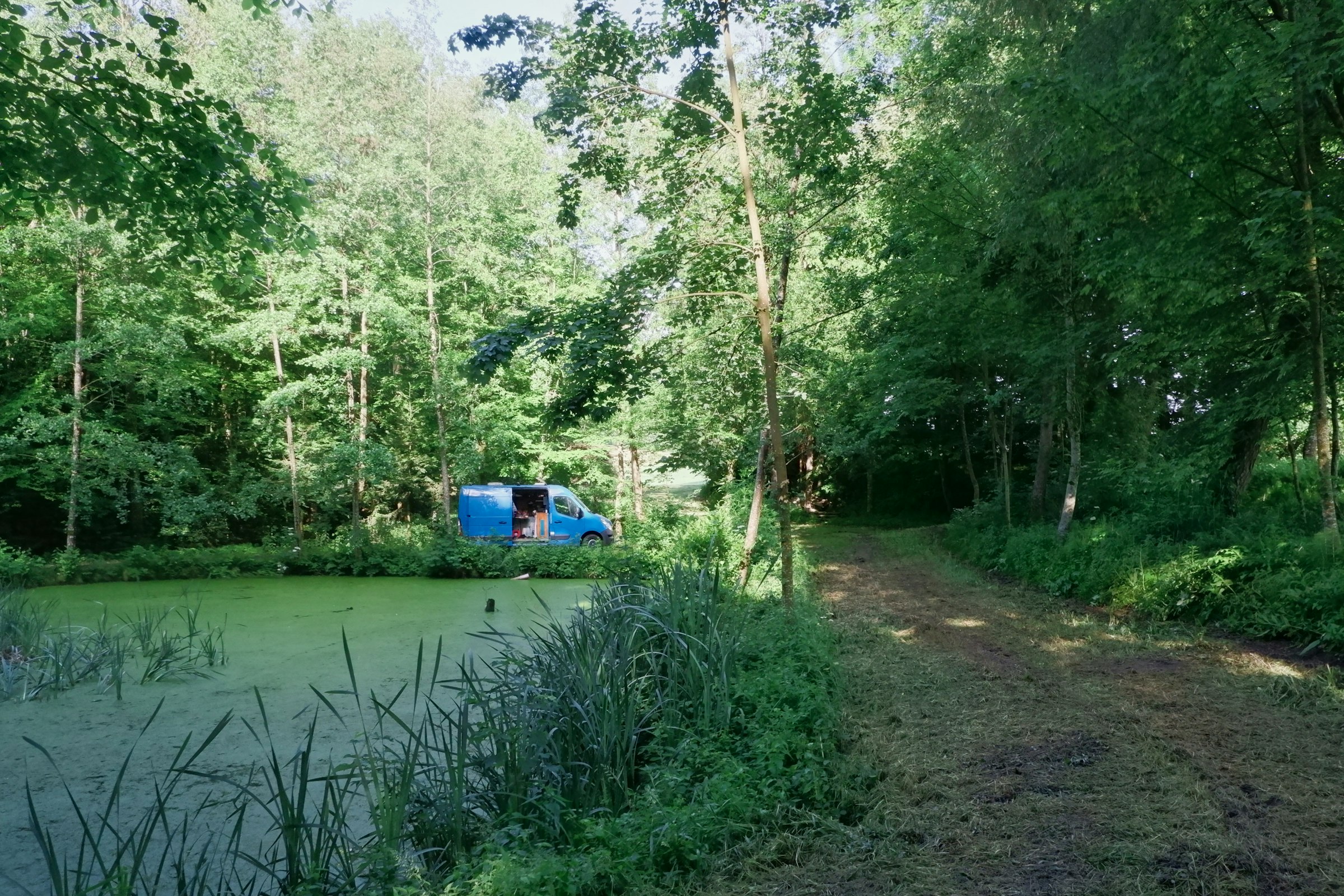 Holzplatz im Strudengau