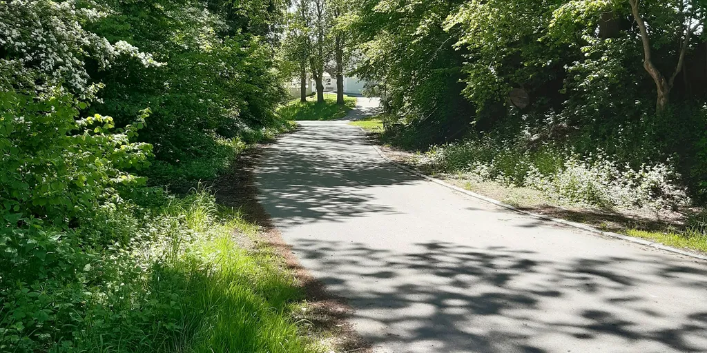 Unter den alten Eschen