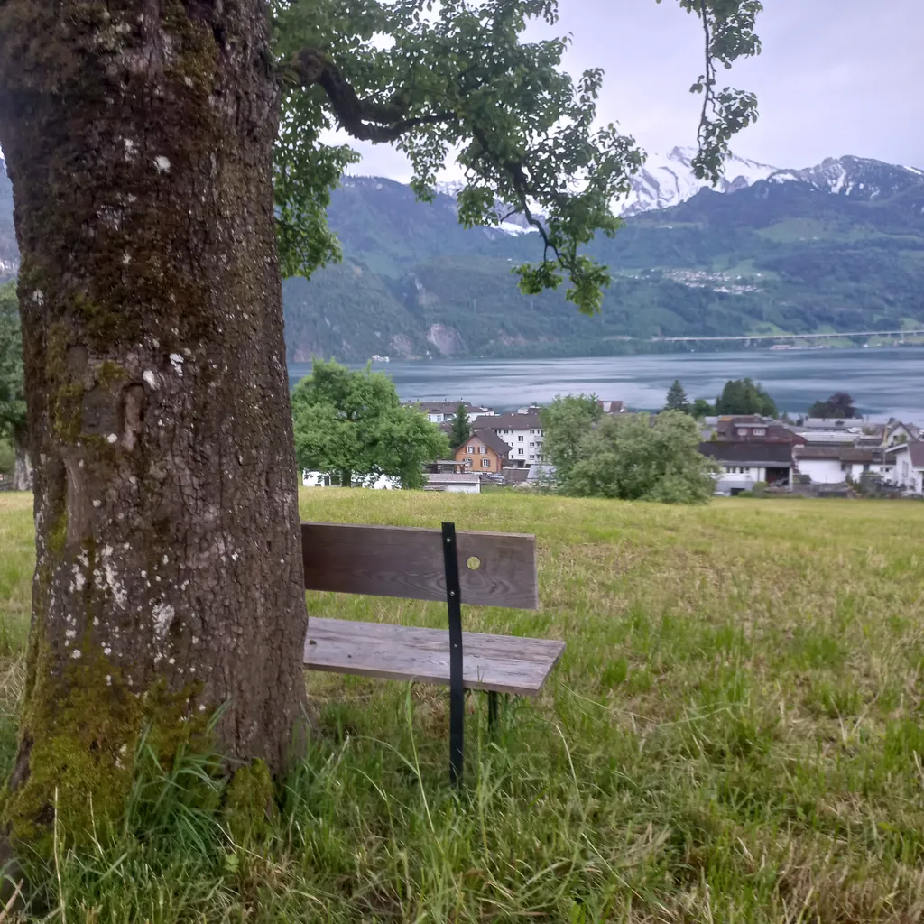 Bild von Merlin für den Spot 718
