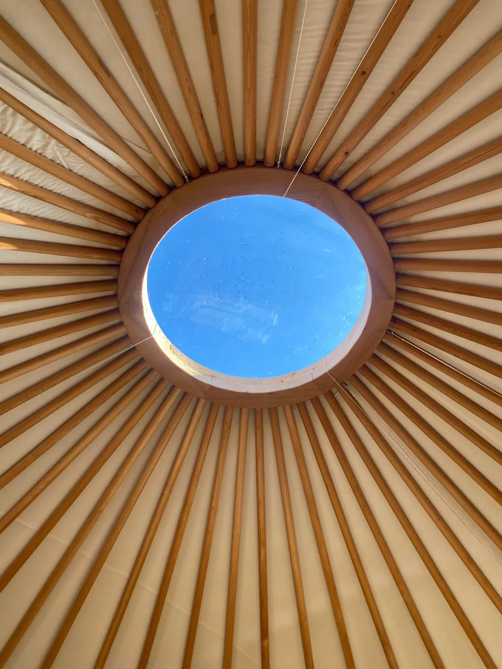 Bild von Ursula für den Spot 3975