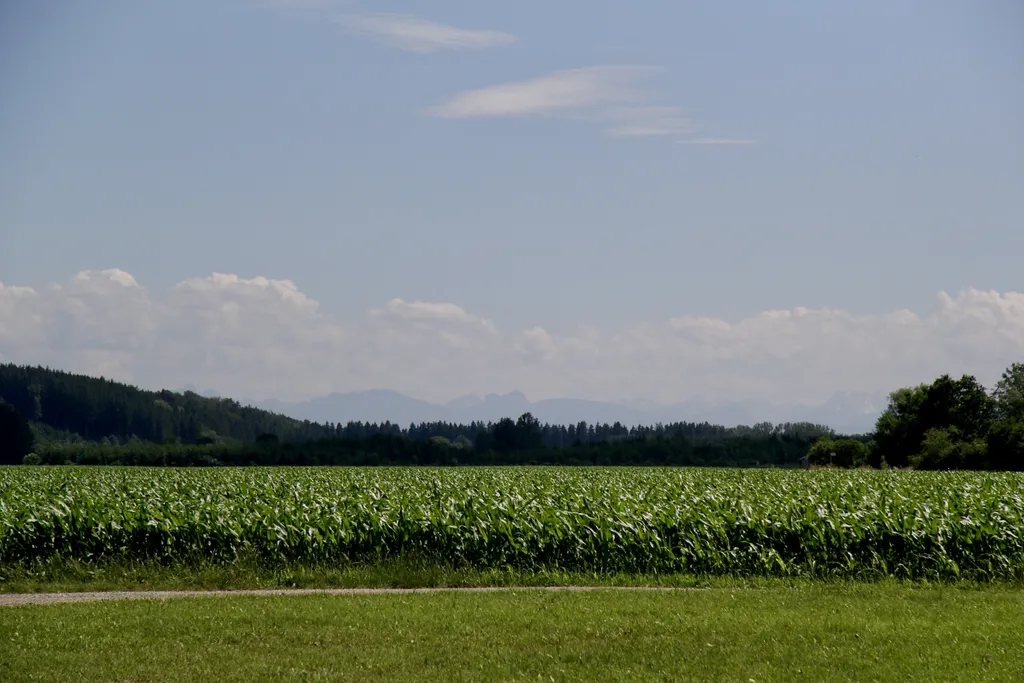 Ruhige naturverbundene Lage