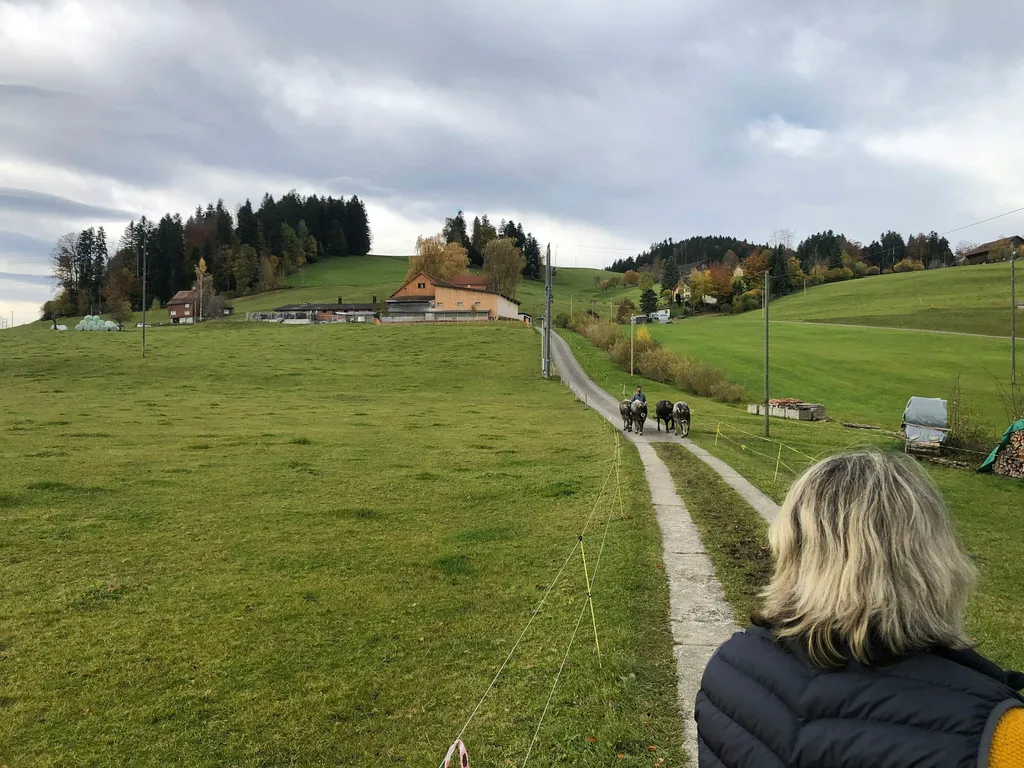 Schlafen im Ross-Anhänger