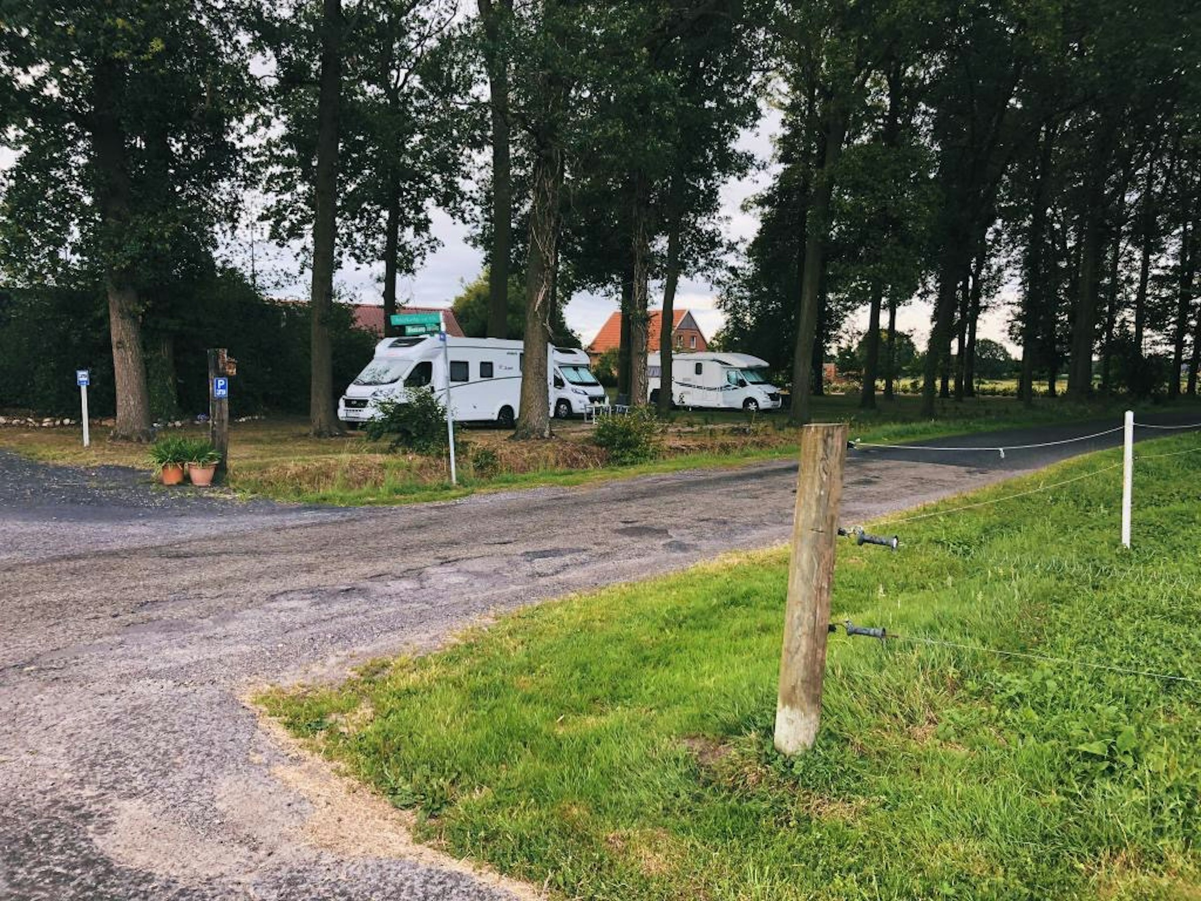 Stellplatz im Eichenwald