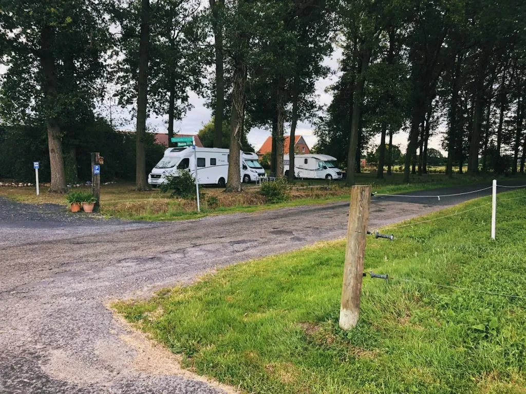 Stellplatz im Eichenwald
