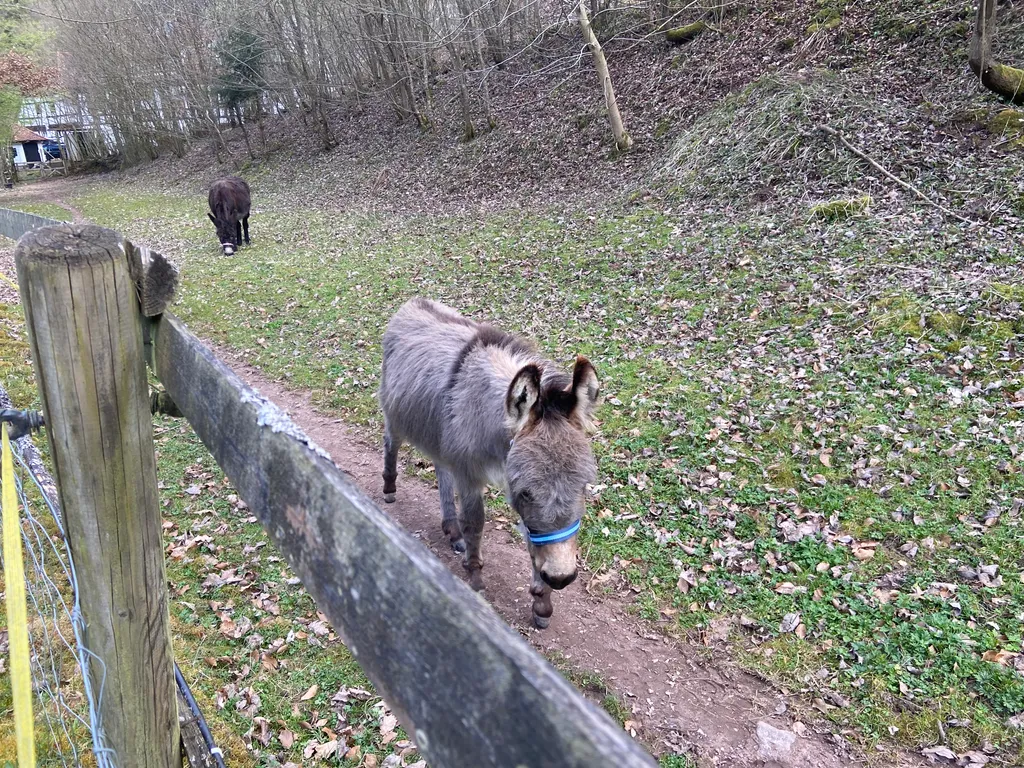Bild von Mario Neumann für den Spot 1488