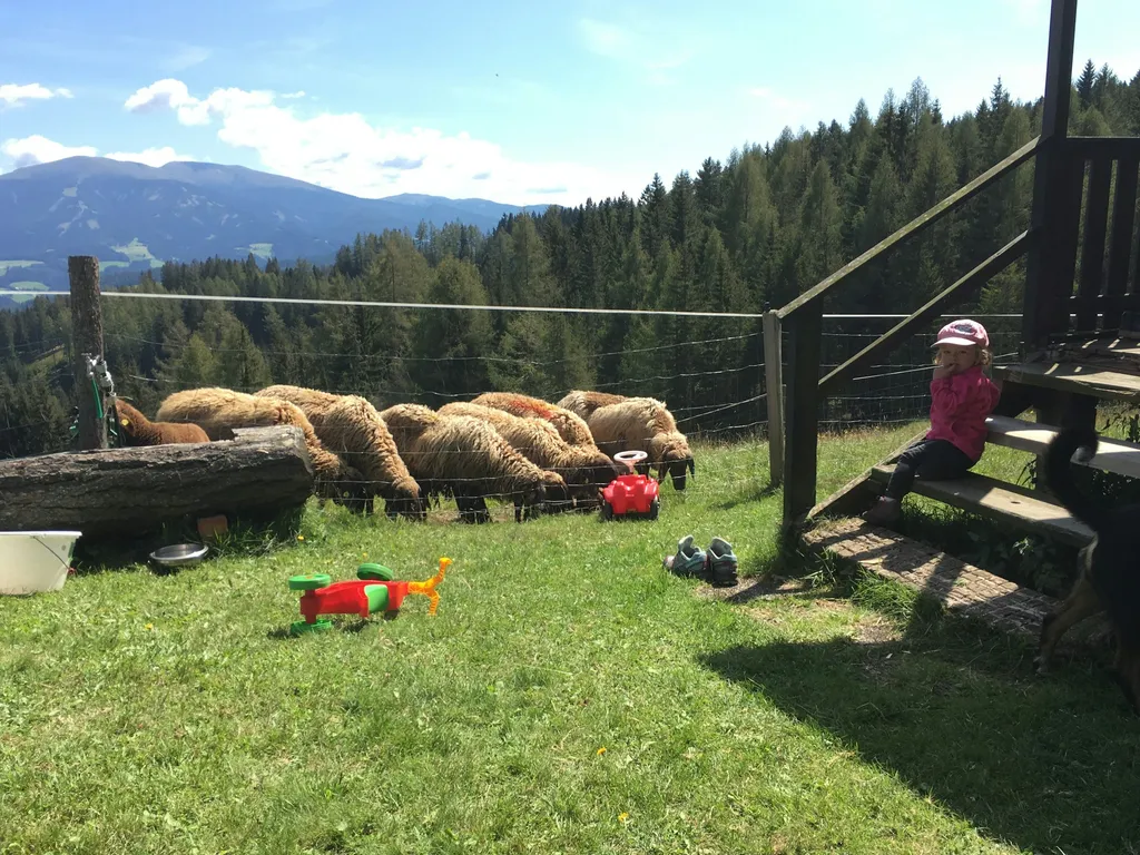 Feine Almhütte in Alleinlage