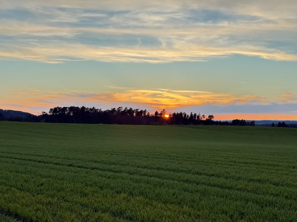 Bild von Carlo für den Spot 907