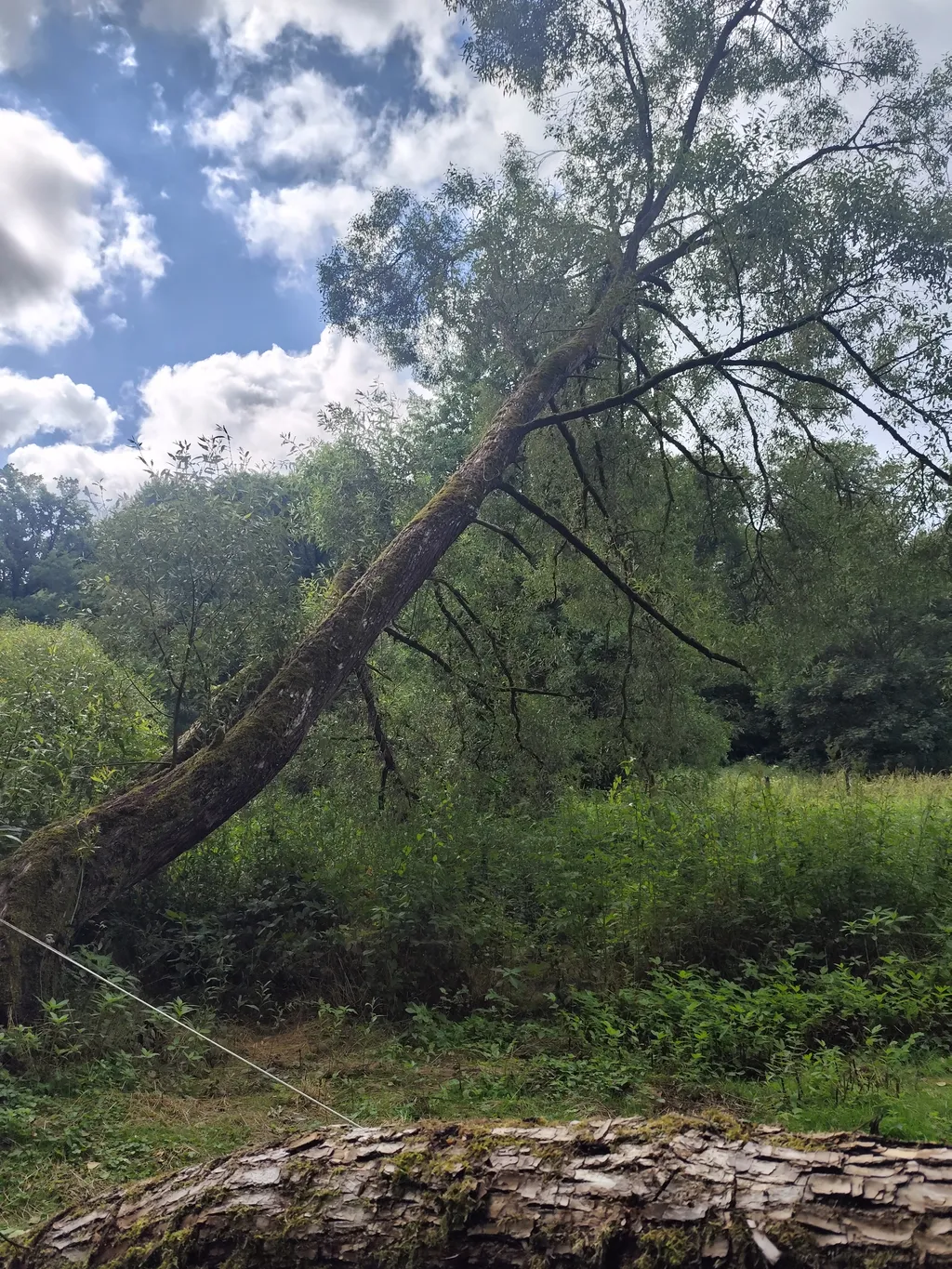 Bild von Maren & Alfred für den Spot 3634