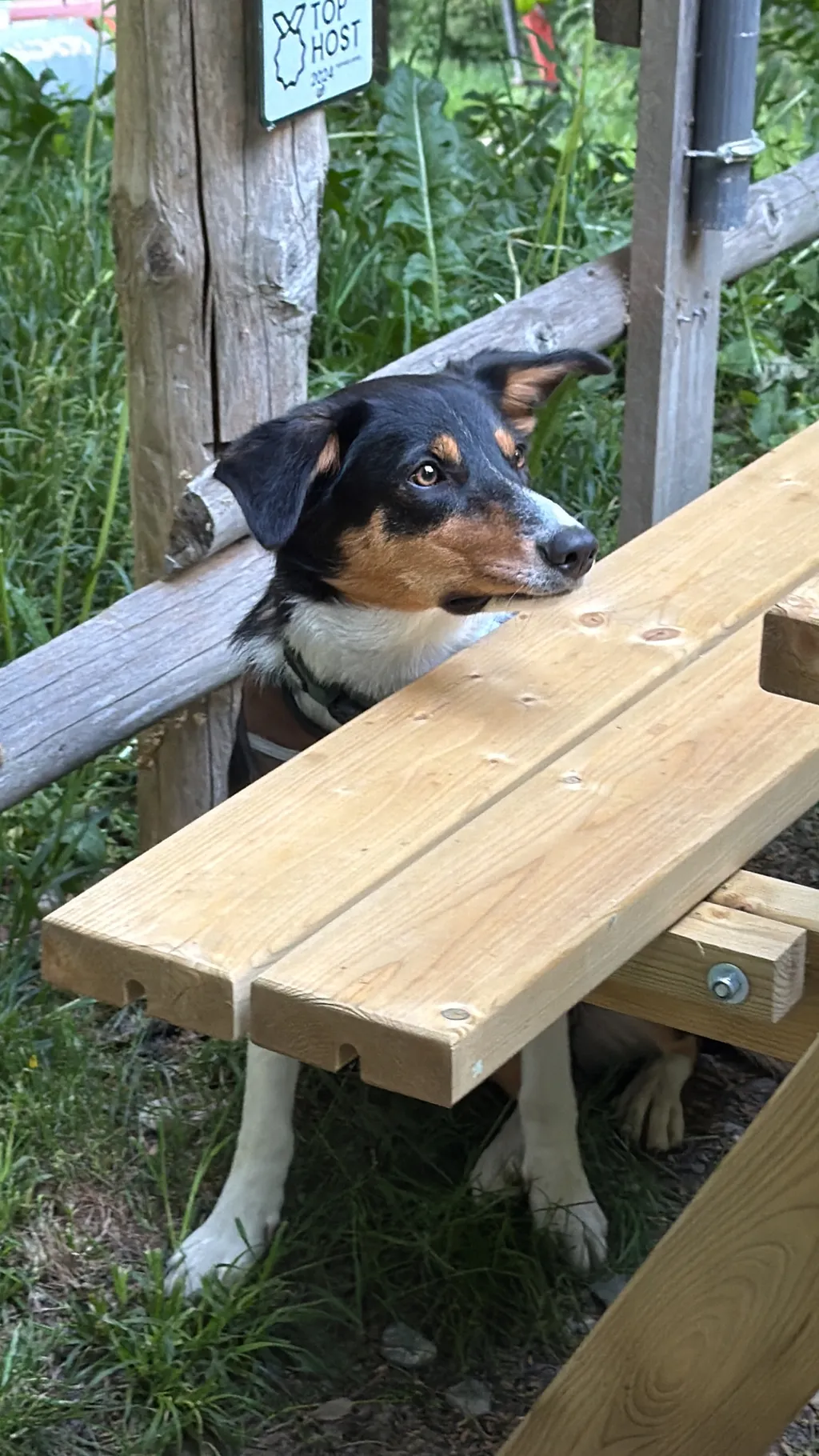 Bild von Angela für den Spot 295