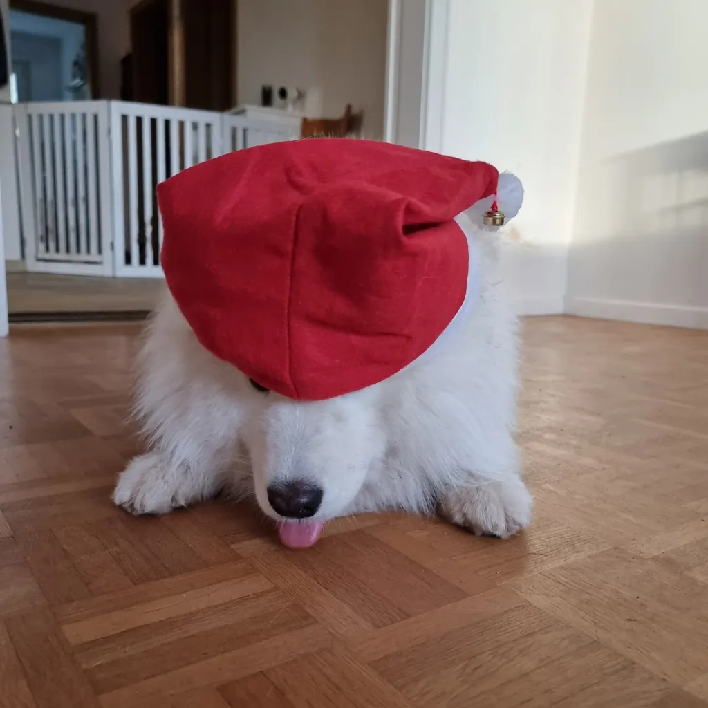 Profilbild von Peter